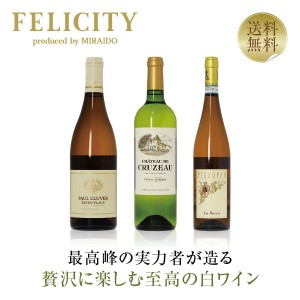 【18】贅沢に楽しむ 至高の白ワイン 3本セット 第18弾 750ml×3　飲み比べ 白 ワイン セット