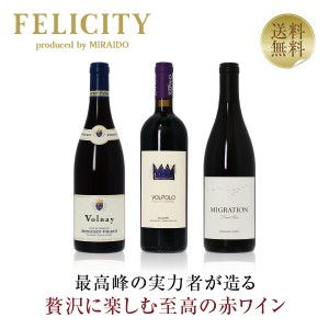 【10】贅沢に楽しむ 至高の赤ワイン 3本セット 第20弾 750ml×3 飲み比べ 赤 ワイン セット