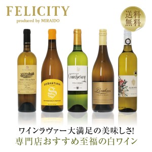 【17】専門店が選ぶ 至福の白ワイン 5本セット 第19弾 750ml×5 飲み比べ 白 ワイン セット 包装不可
