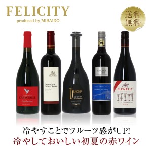 【1】豊かで深みのある 初夏の赤ワイン5本セット 第1弾 750ml×5 飲み比べ 赤 ワイン セット